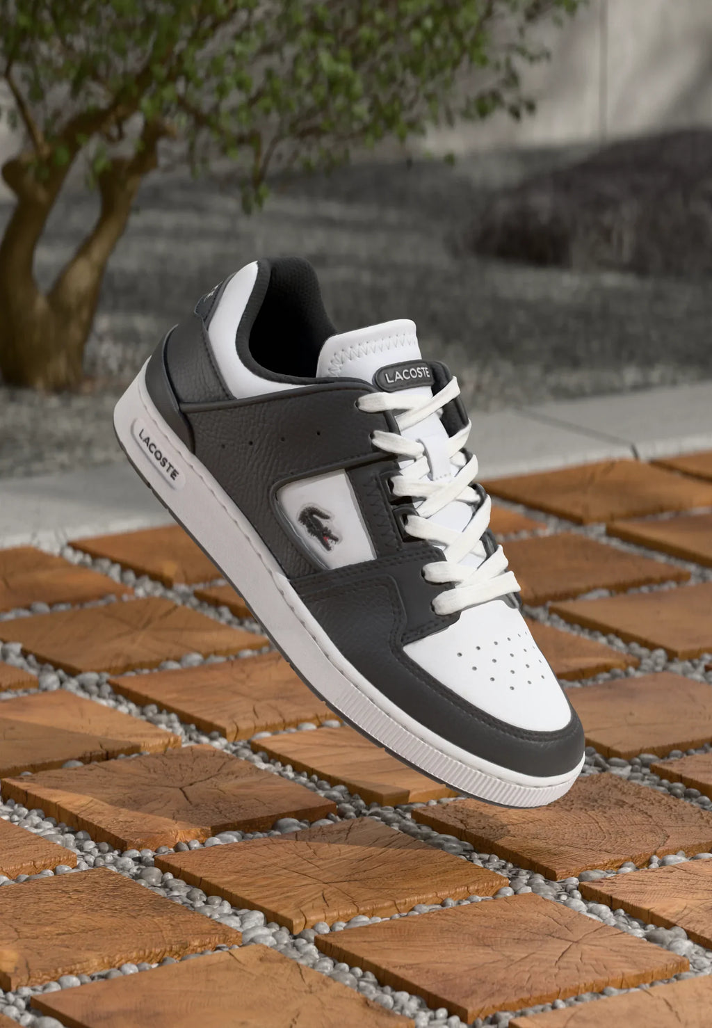 Lacoste Court Cage Black sneakers
