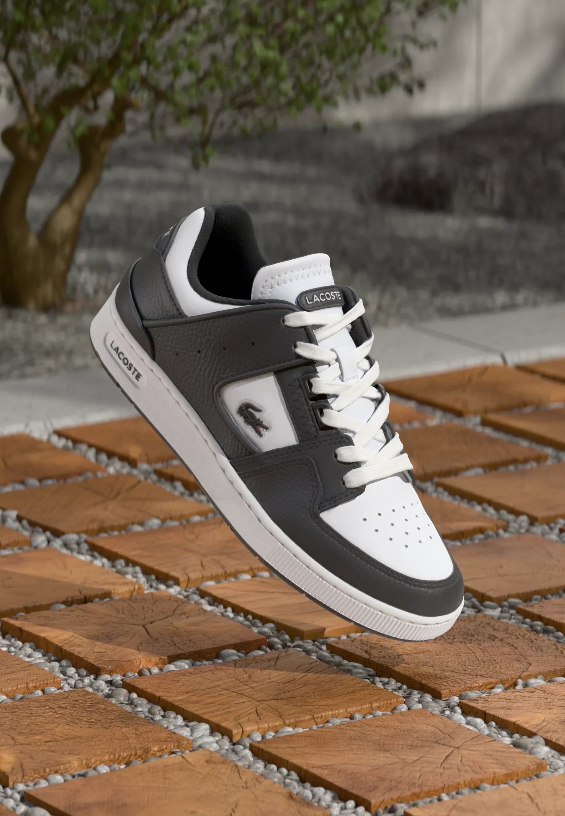 Lacoste Court Cage Black sneakers